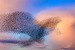 Birding and Boating on the Connecticut River